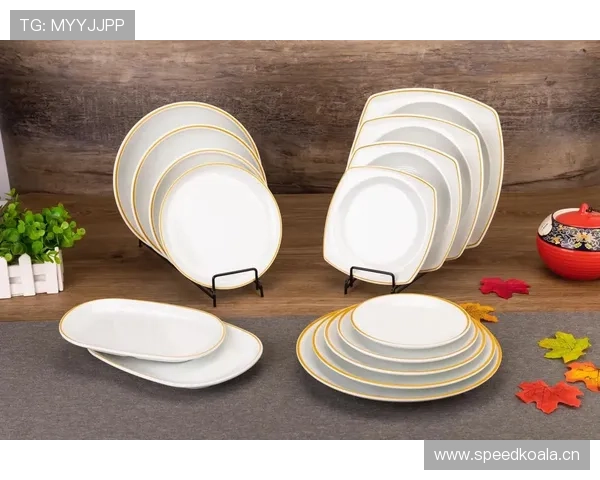 刷到张家齐家里那张早餐照，餐具精致得让我怀疑工资少了个零